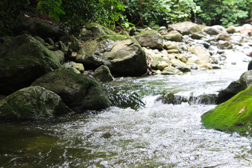 Corinto Pearl Eco Resort Эль-Пино Экстерьер фото